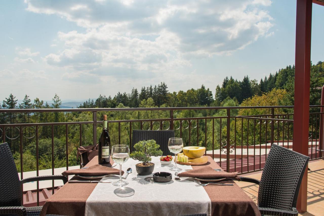 Hotel Villa Magus Kladnitsa Eksteriør bilde